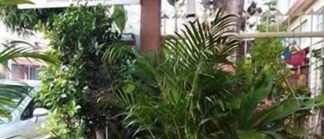A restaurant with outdoor seating, surrounded by lush greenery and a sign reading "BRAN BUSSARA".