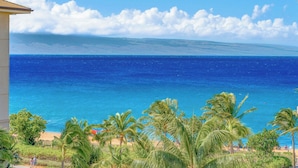 Vista de una playa con palmeras y un océano azul cristalino.