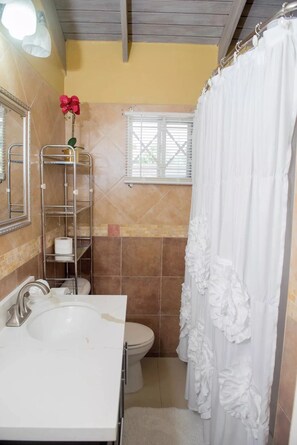 Hair dryer, towels, soap, toilet paper