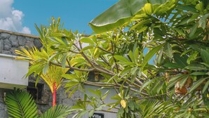 A stone wall with a sign reading "Villa Anahote" and a staircase leading up to a door. - Villa Anahata (Seminyak)