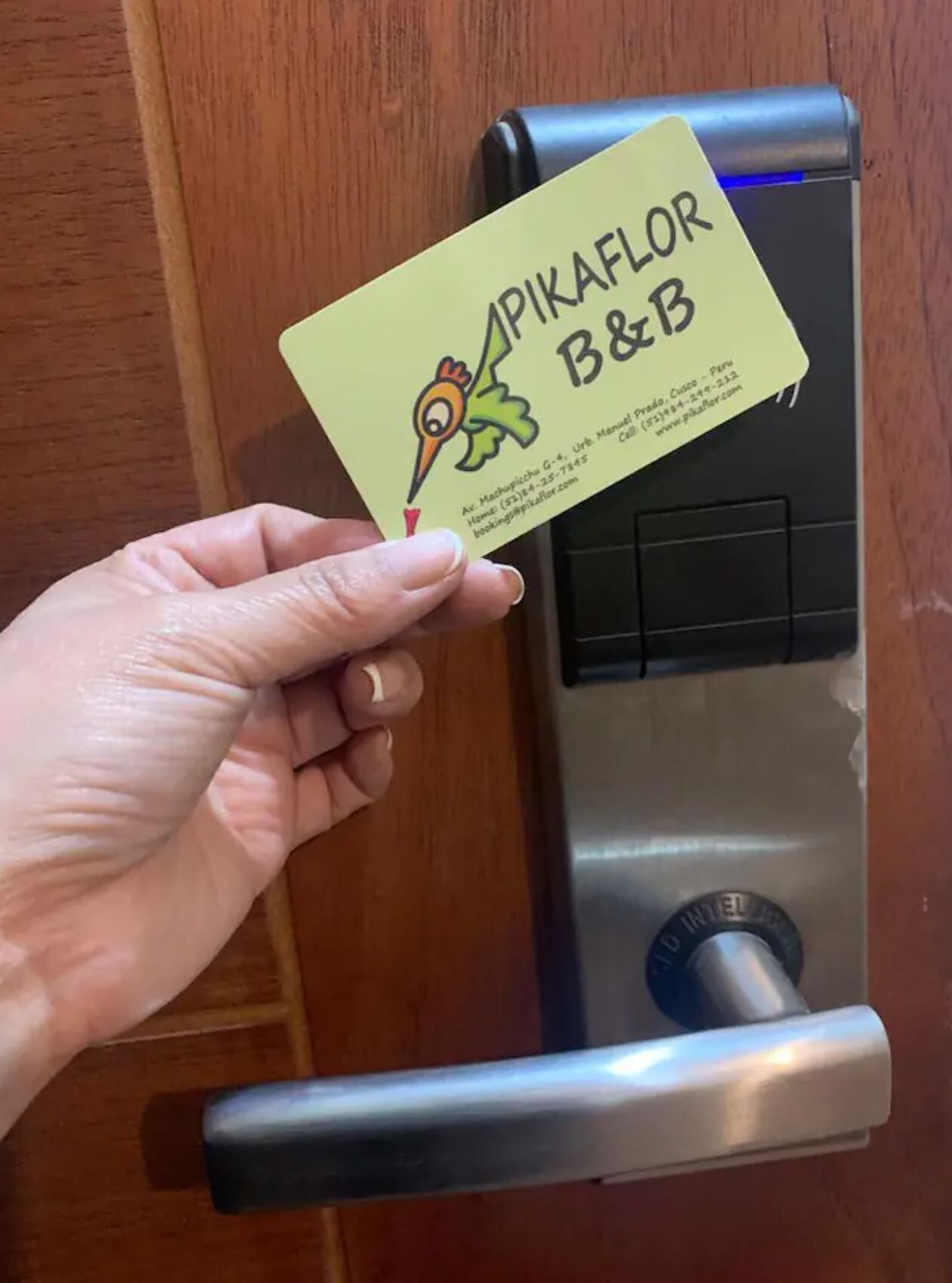 A hand holding a business card with the text "Pika Flor B&B" and contact information.