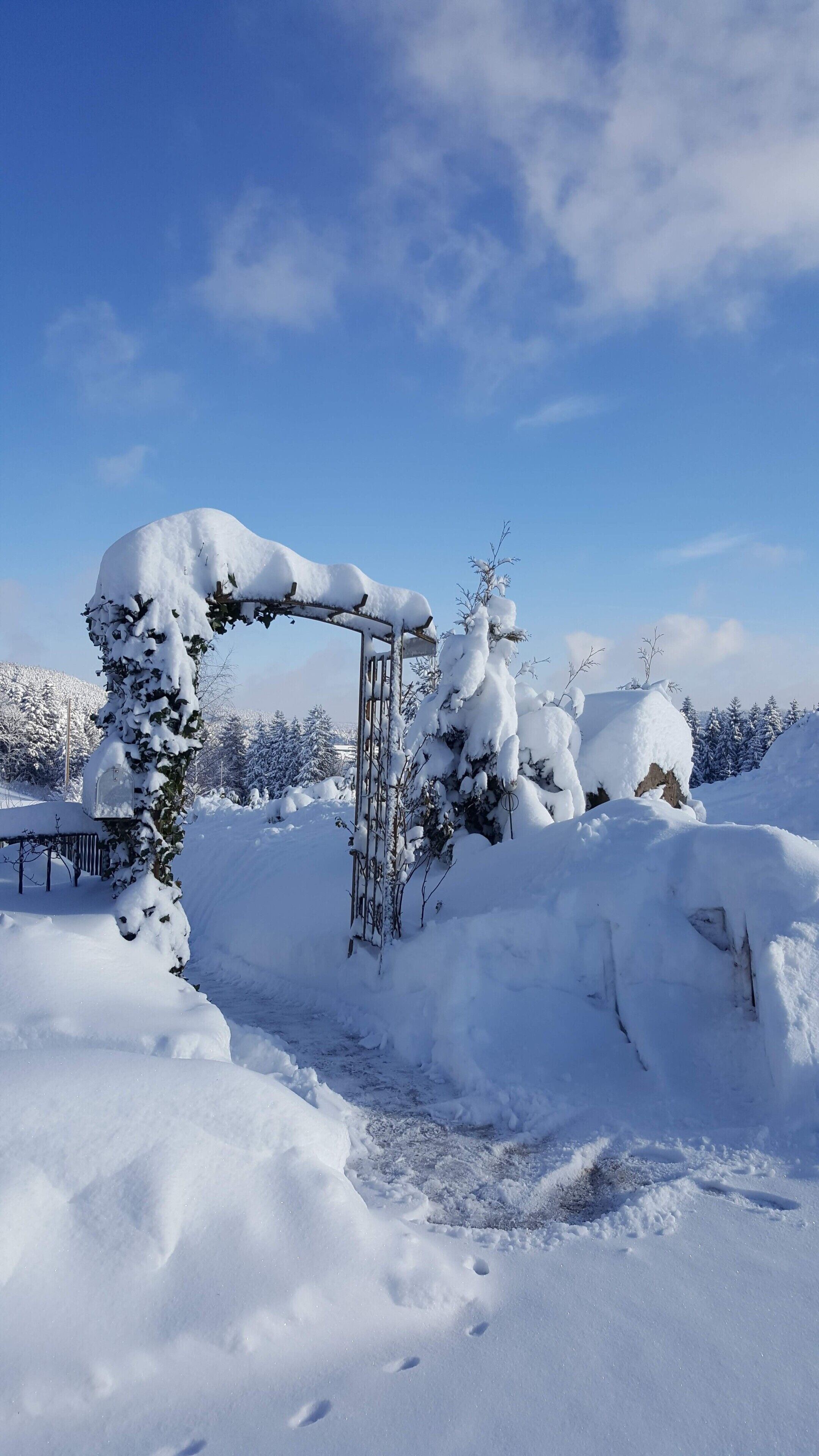A snow-covered landscape with a metal gate, snow-laden trees, and a clear blue sky.