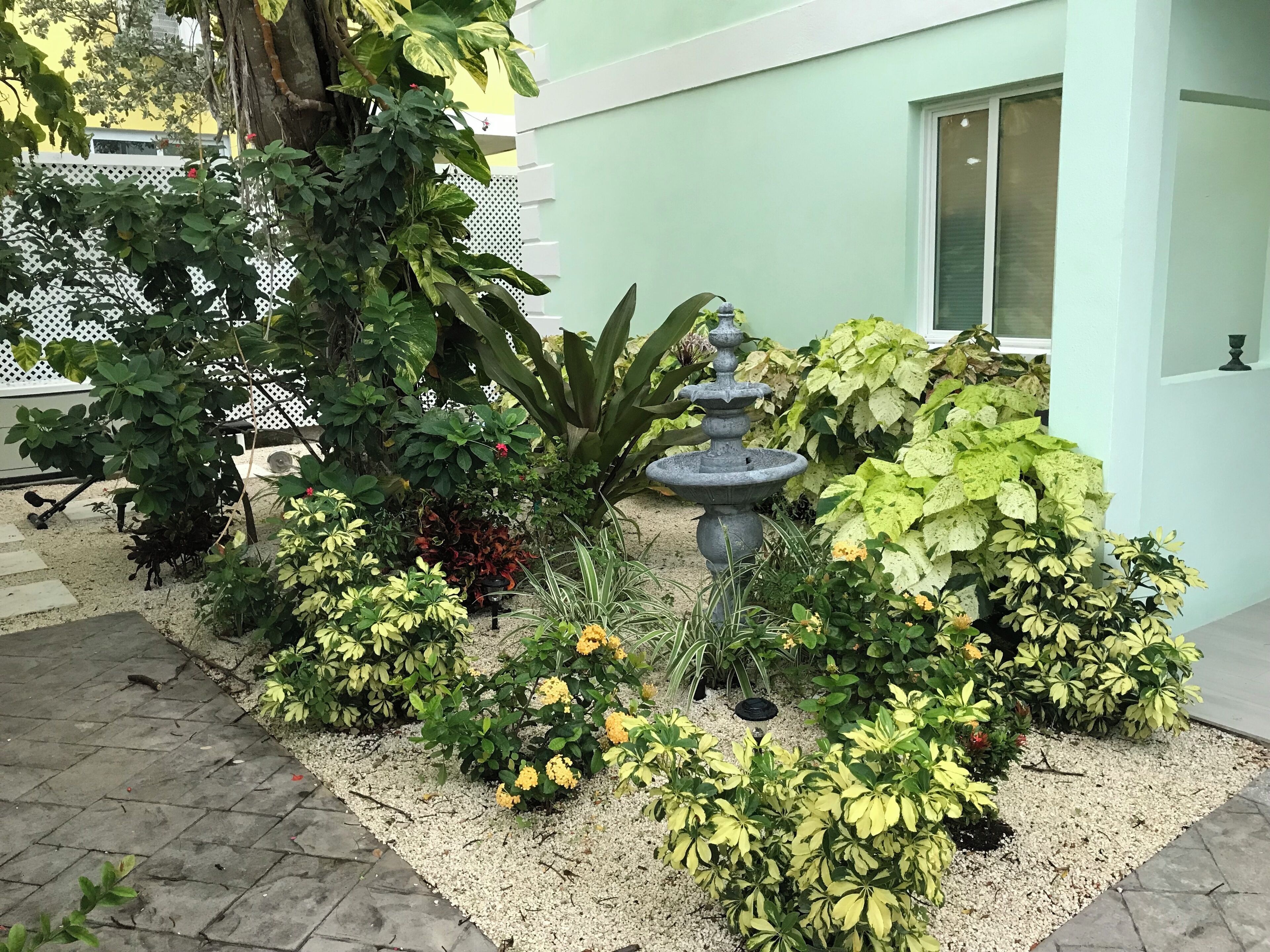Un jardin où l’on trouve une grande variété de plantes et une fontaine en pierre.