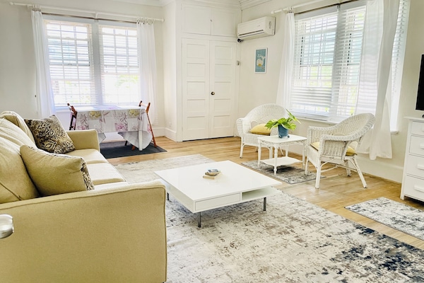 Apartamento clásico | Zona de estar | Una Smart TV, Netflix, servicios de streaming