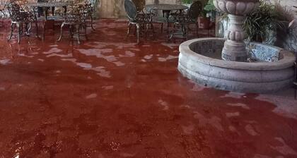 Boutique Hotel Casa Elefante