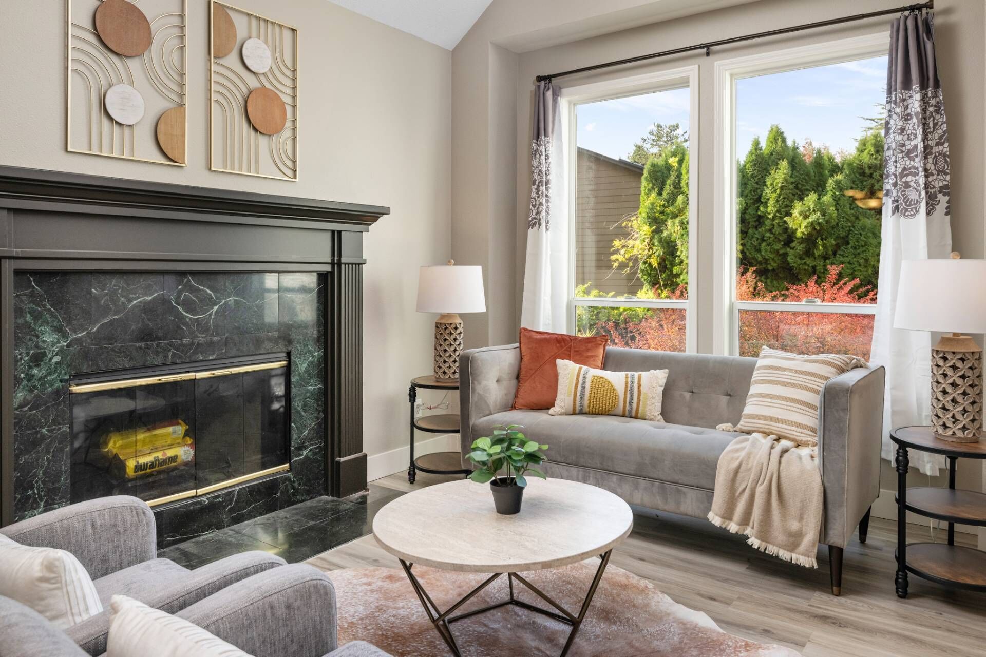 TV, fireplace, ping pong