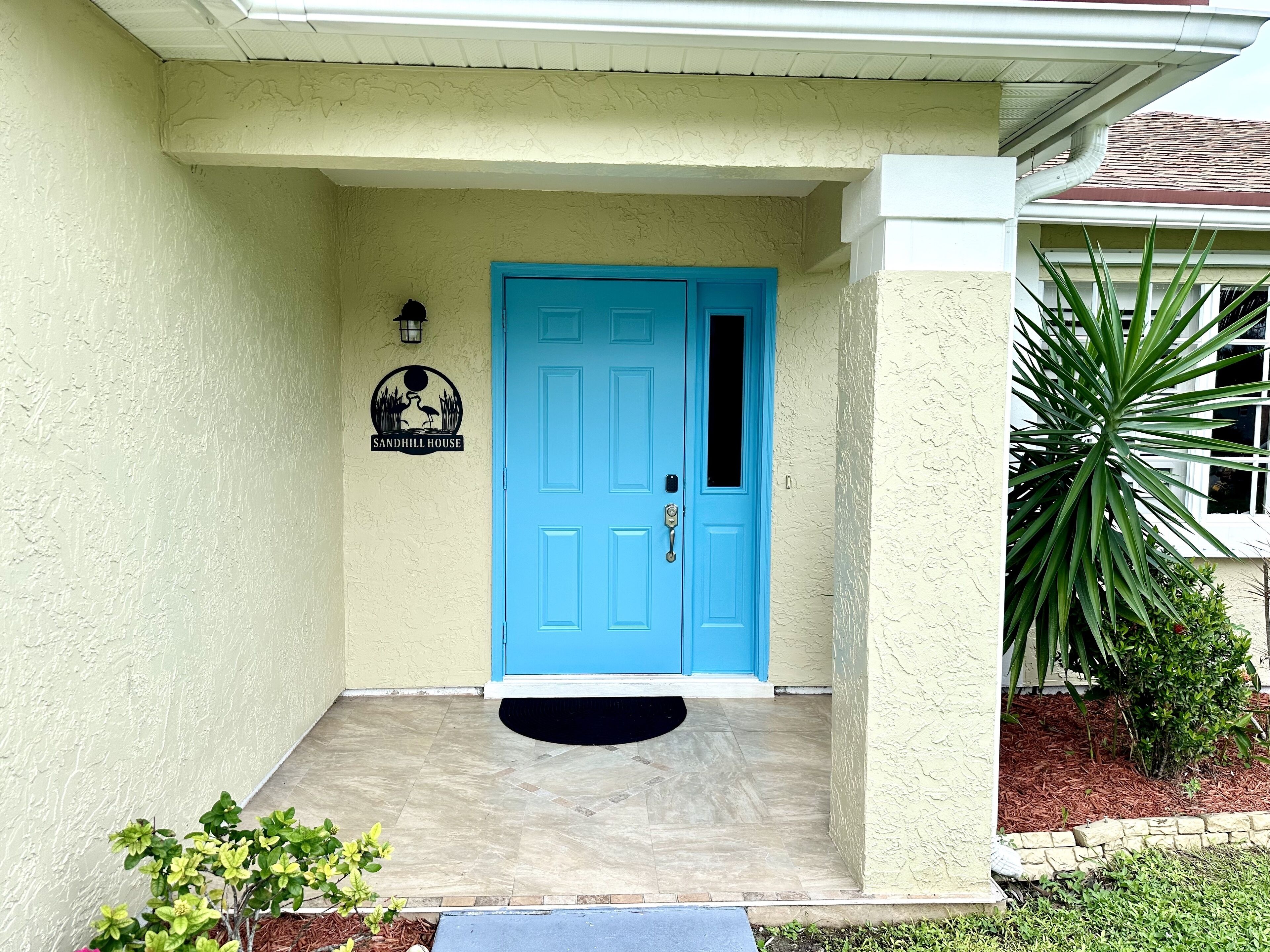 A blue door with a doormat, a small sign above the door, and a potted plant to the right.
