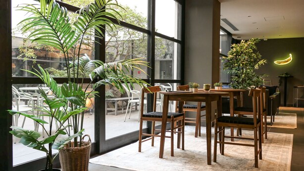 Un comedor moderno con un gran ventanal, sillas de madera, una mesa y plantas en macetas.