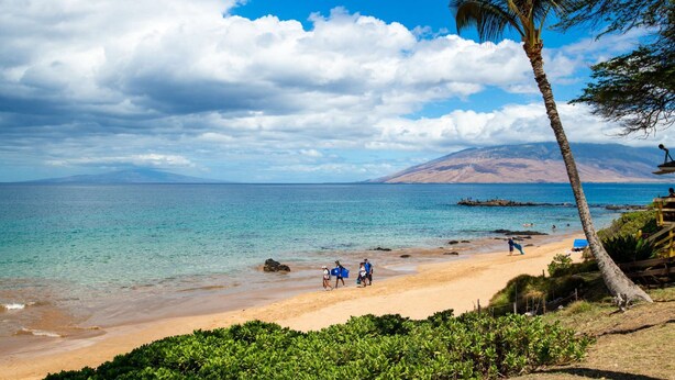 A beach with clear turquoise water, a sandy shore, and a mountain in the distance.
