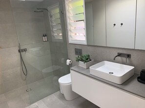 Regadera, secadora de cabello, bidet, toallas 