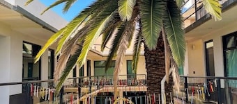 La Palma Co-living