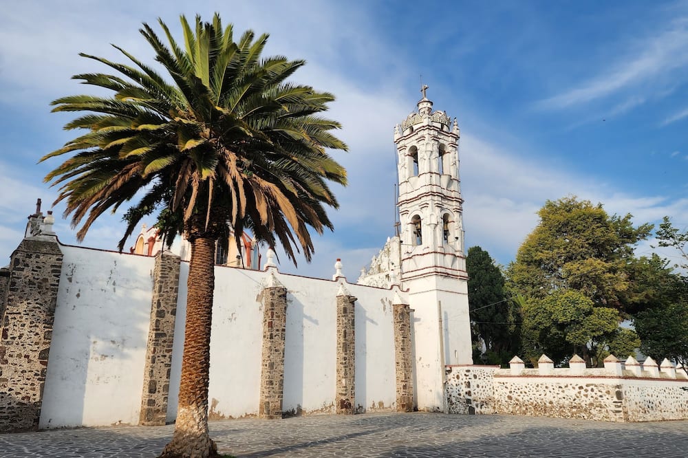 La Palma Co-living