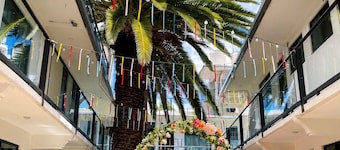 La Palma Co-living