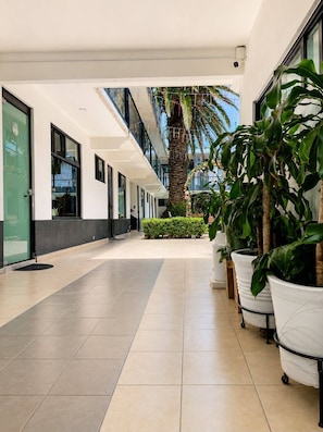 Un pasillo moderno de hotel con suelo de baldosas, plantas en macetas y una palmera.