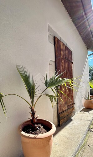 DĂ©tail de lâextĂ©rieur