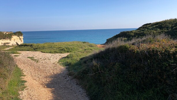 Ein Küstenpfad, der zum Meer führt, mit Rasenflächen und Klippen.