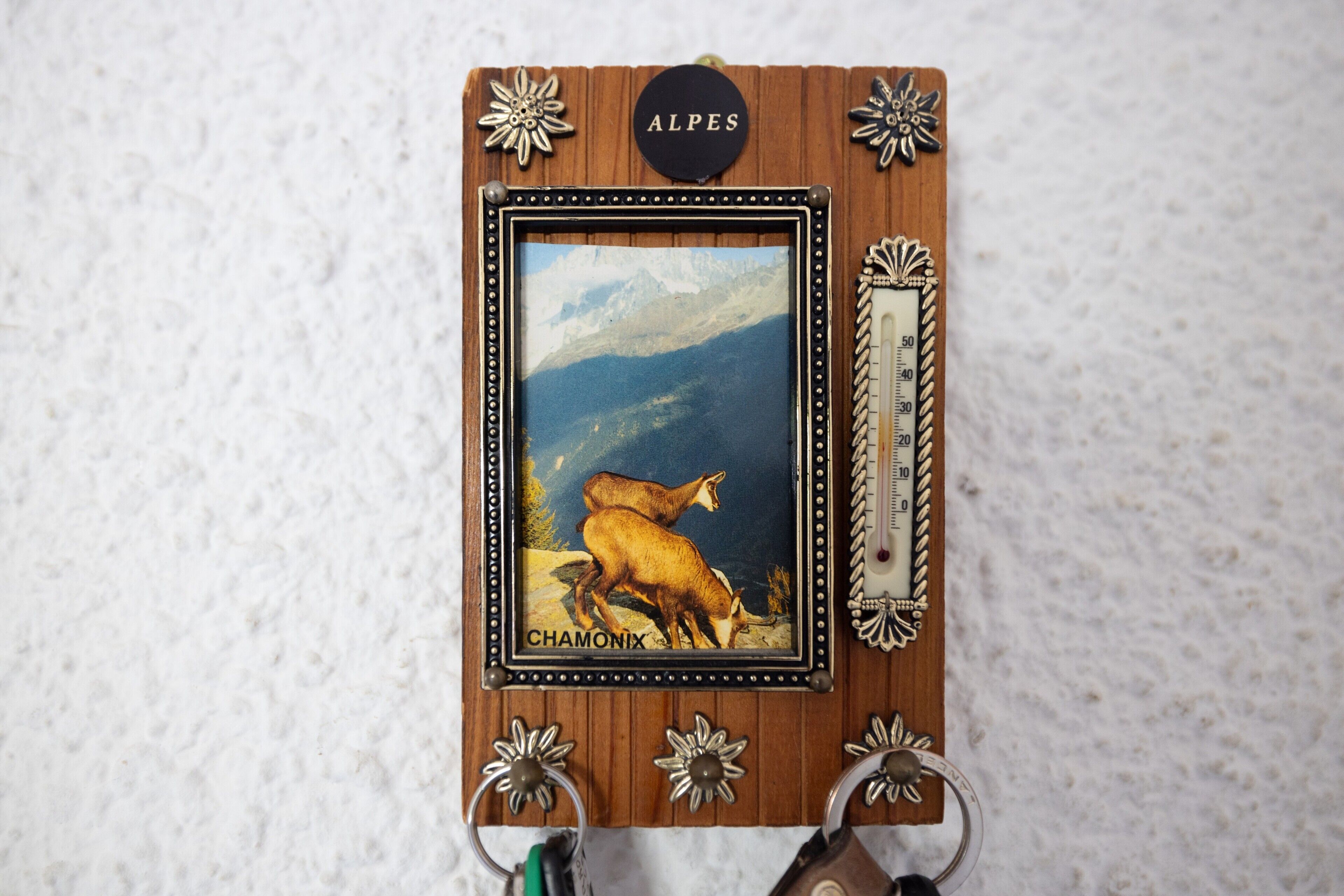 A wooden plaque with a framed picture of a mountain landscape and a deer labeled 'CHAMONIX.'