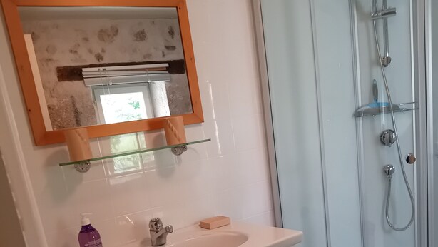 A bathroom with a glass-enclosed shower, a white sink with a mirror above it, and a glass shelf.