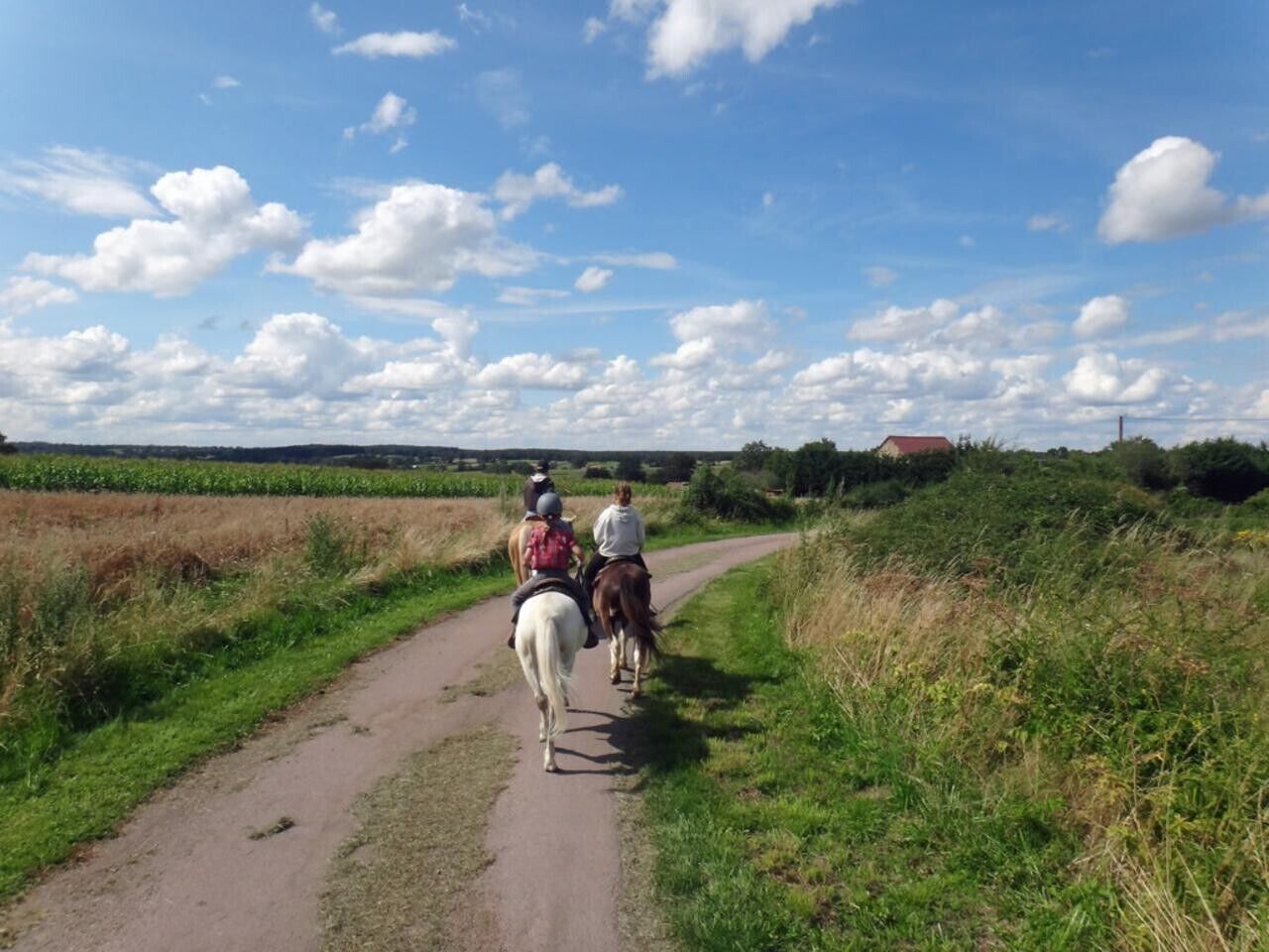 A rural path with horses and riders.