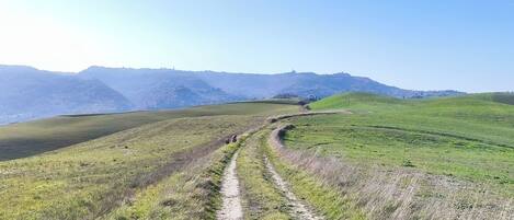 A winding dirt path through a hilly landscape with distant mountains.