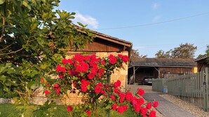 Un jardin agrémenté d’un rosier grimpant et, au fond, d’une construction rustique en bois.