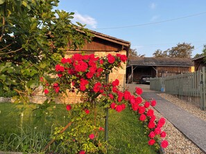Property grounds - Charmante Maison de Campagne Paisible Avec Vues Magnifiques et Belle Piscine (Chatenet)