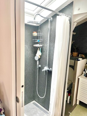 Hair dryer, towels, soap, toilet paper - Loft Plein de Charme en Plein Paris (Paris)