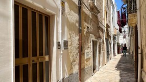 A narrow stone-paved alleyway between buildings with wooden shutters and a metal pipe.