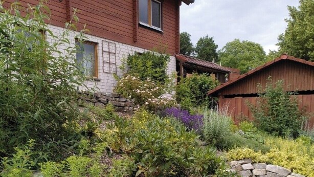 Een huis met een tuin, voorzien van een pad van stenen en diverse planten.