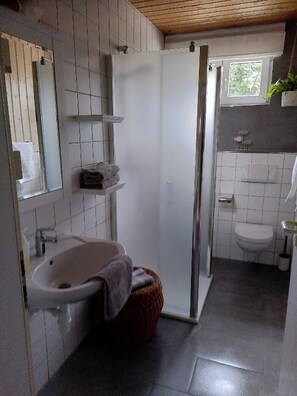 Shower, hair dryer, towels, soap