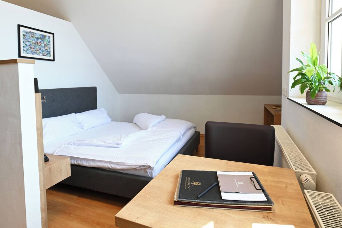 Una habitación pequeña y bien iluminada, con cama, escritorio y ventana con una planta.