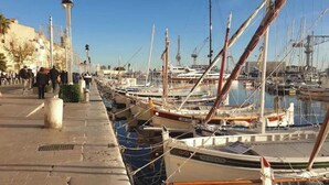 Un puerto deportivo con barcos amarrados en fila, un paseo marítimo y un cielo despejado.