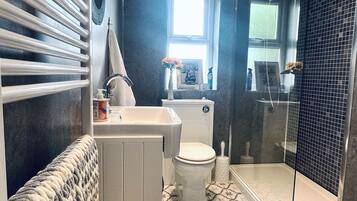 Eco-friendly toiletries, hair dryer, towels