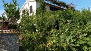 Exterior - Apartments Željko - Affordable and With sea View (Solta)