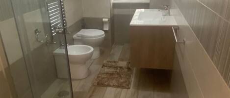 Shower, hair dryer, bidet, towels