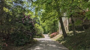Ein gepflasterter Weg, gesäumt von dichtem Grün und Bäumen, führt zu einem Gebäude mit einem sichtbaren Eingang.