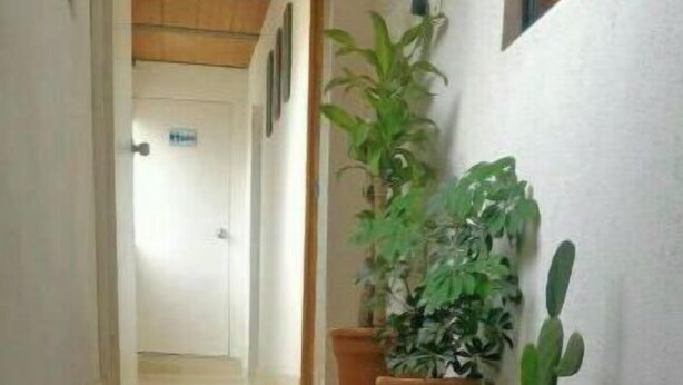 A staircase with wooden steps and potted plants on the sides. - Yopal Apartment (Medellín)