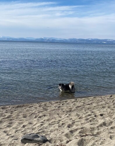 Lakeview Studio Retreat  North Hero, Vt.