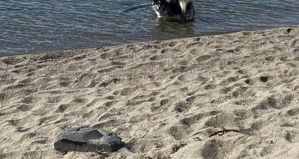 Lakeview Studio Retreat North Hero, Vt.