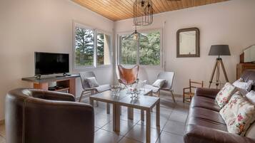 Télévision, cheminée