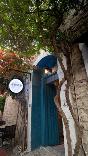 Exterior - Munch House (Cesme)