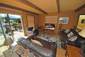 Televisión, chimenea y reproductor de DVD 