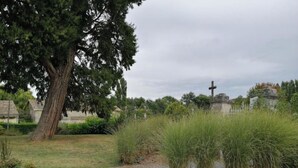 Un cementerio con un gran árbol, una cruz y un camino.