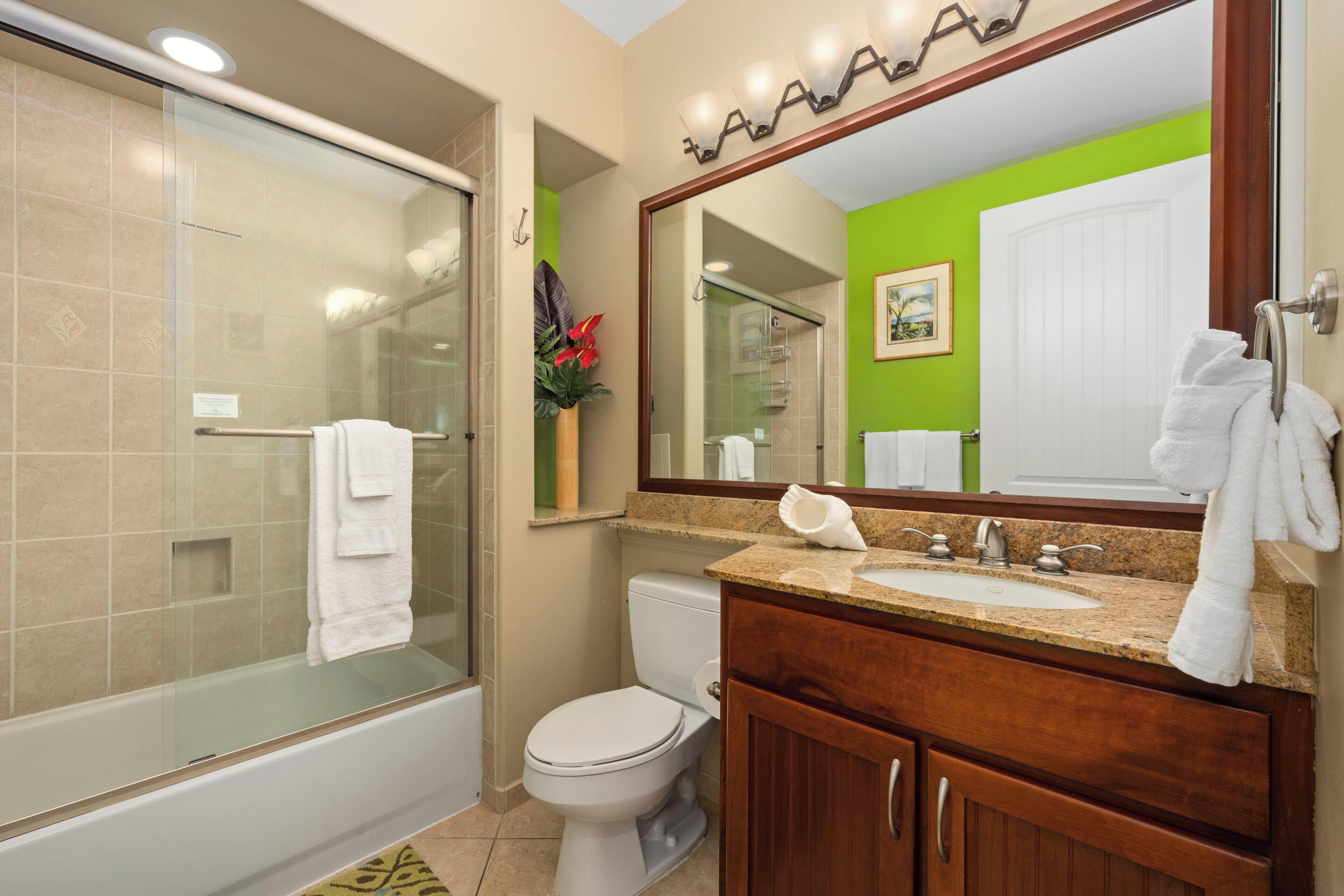 Hair dryer, towels, soap, shampoo