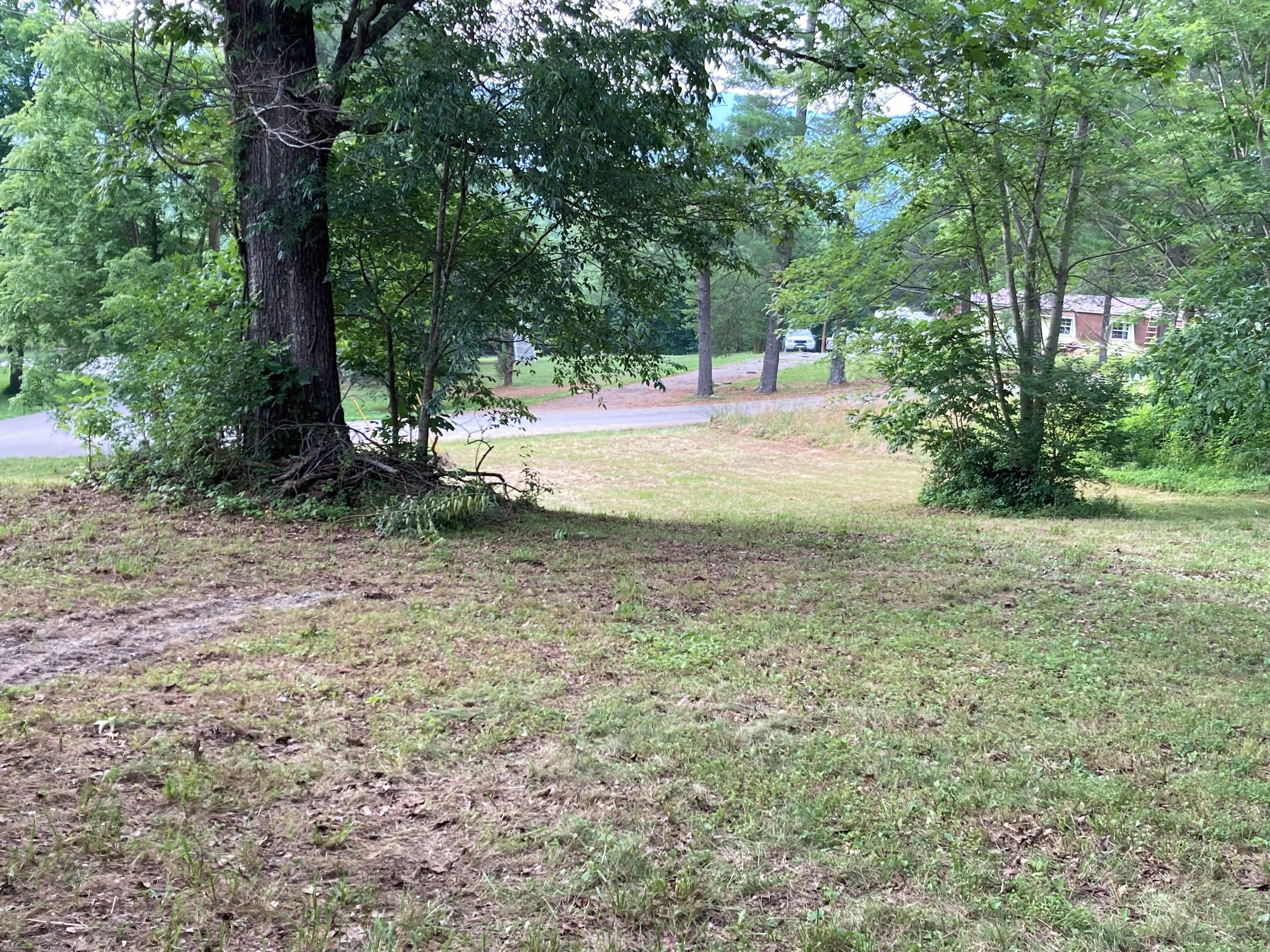 A grassy area with trees and a path leading to a building.