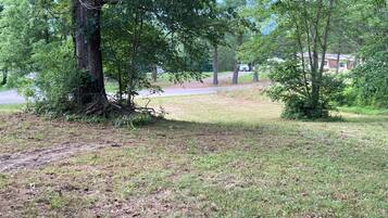A grassy area with trees and a path leading to a building.