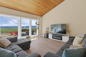 Smart TV, chimenea y libros 