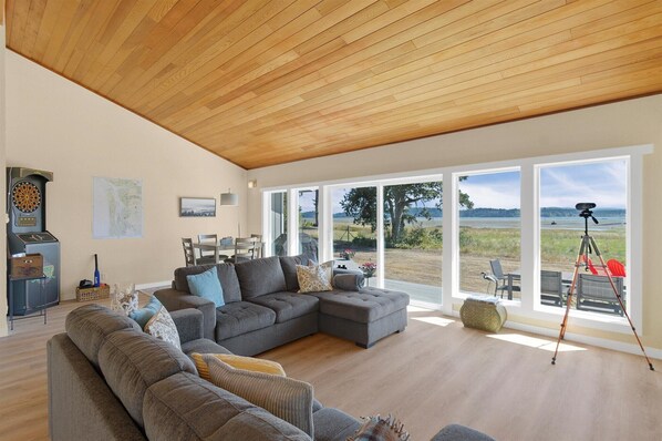 Smart TV, chimenea y libros 