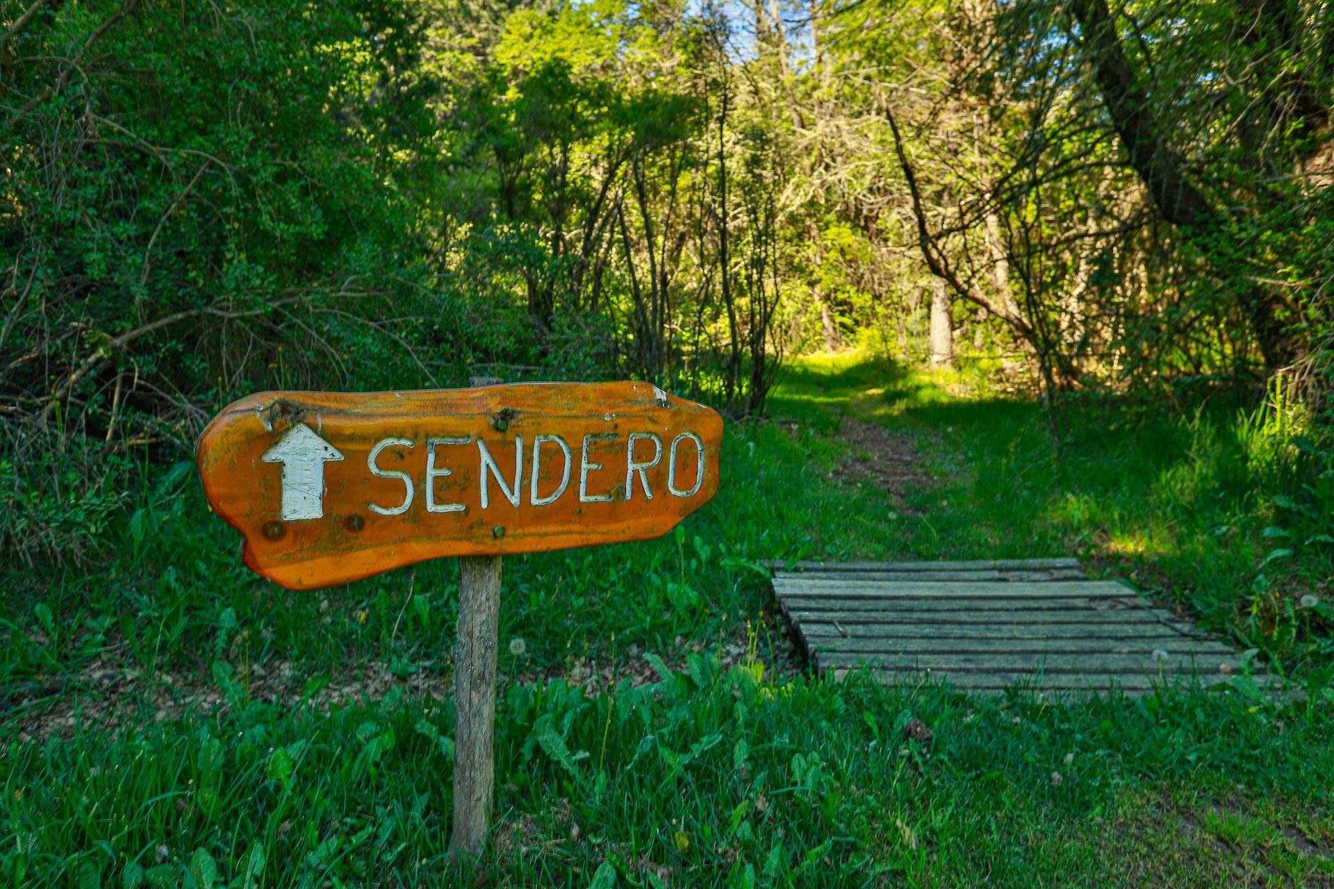 A wooden signpost with the word "SENDERO" and an arrow pointing upwards, indicating a direction.