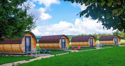 Oeno-tonneaux - Aligoté